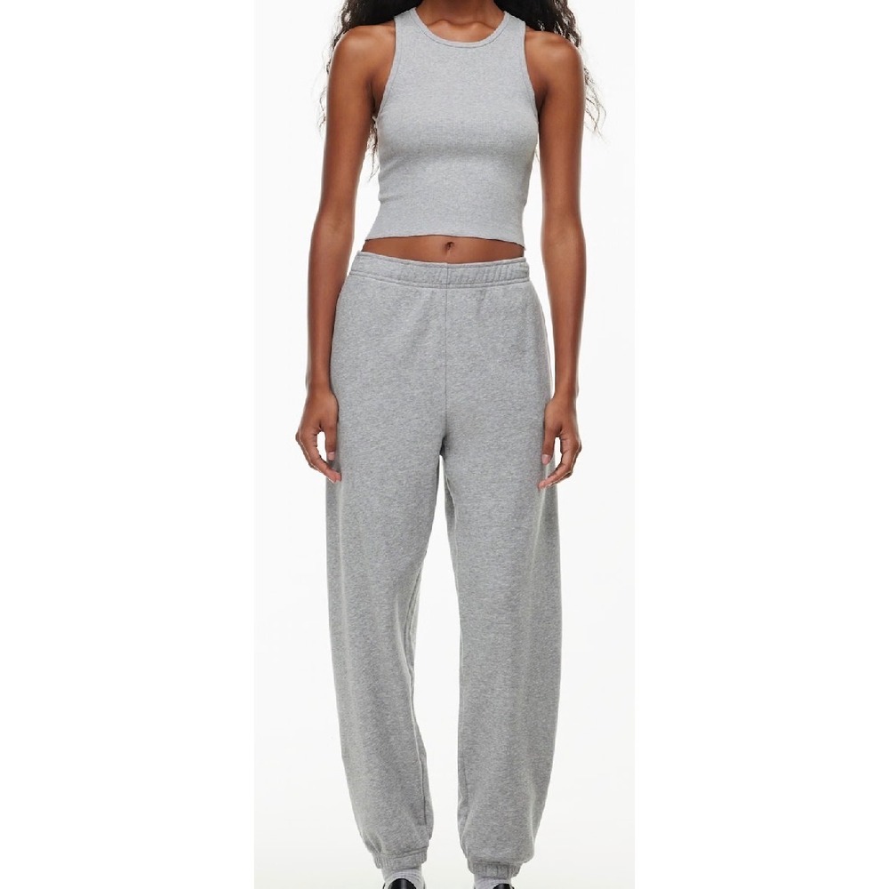 Aritzia Tna Sweatfleece Cozy Fleece Boyfriend Fit Sweatpants Grey Womens Medium